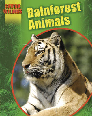 Rainforest Animals