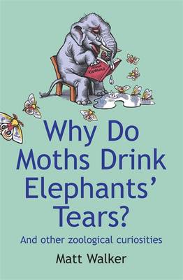 Why Do Moths Drink Elephants' Tears?
