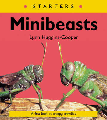 Read Write Inc. Comprehension: Module 24: Children's Book: Mini Beasts