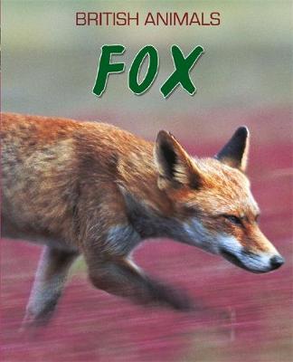 British Animals: Fox