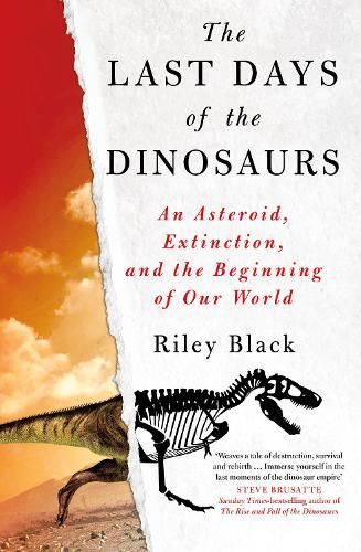 The Last Days of the Dinosaurs