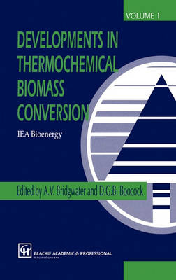 Developments in Thermochemical Biomass Conversion
