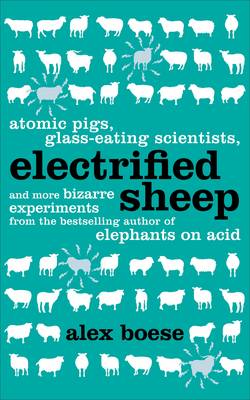 Electrified Sheep