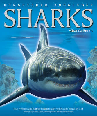 Kingfisher Knowledge Sharks