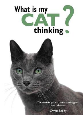 What is my Cat Thinking?