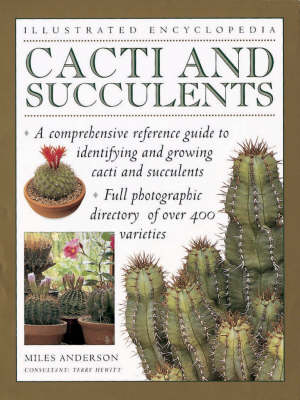 Cacti and Succulents