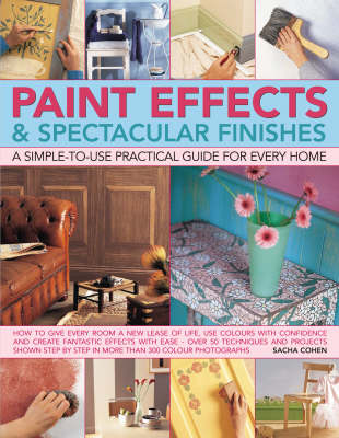 Paint Effects and Spectacular Finishes