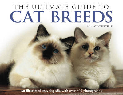 The Ultimate Guide to Cat Breeds