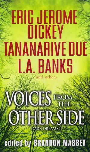 Voices From The Other Side
