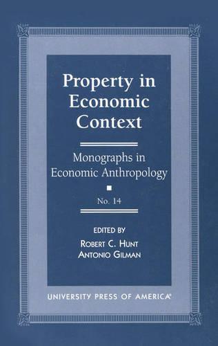 Property in Economic Context