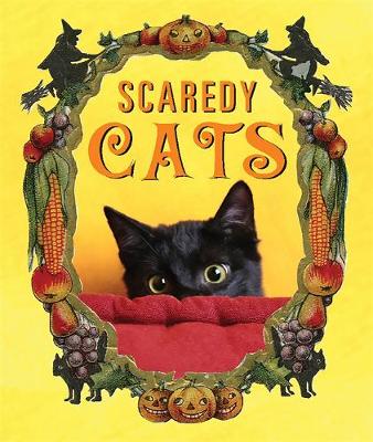Scaredy Cats