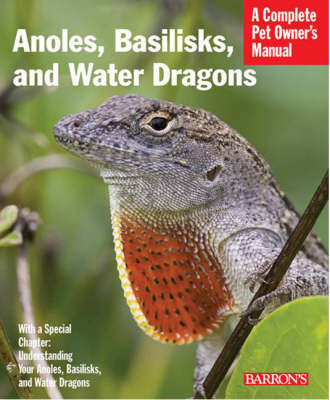 Anoles, Basilisks, and Water Dragons