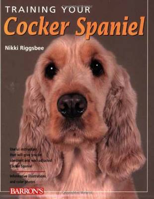 Training Your Cocker Spaniel