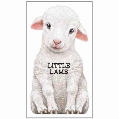 Little Lamb