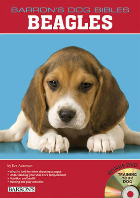 Beagles