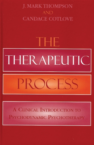 The Therapeutic Process
