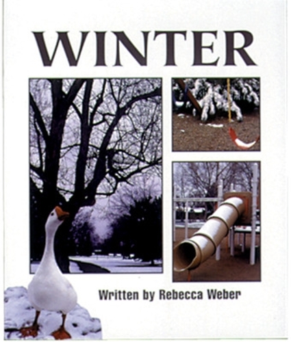 Winter (13)