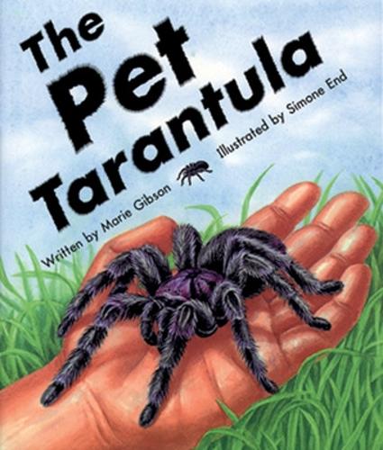 The Pet Tarantual (18)