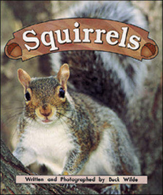 Squirrels: Night Crickets