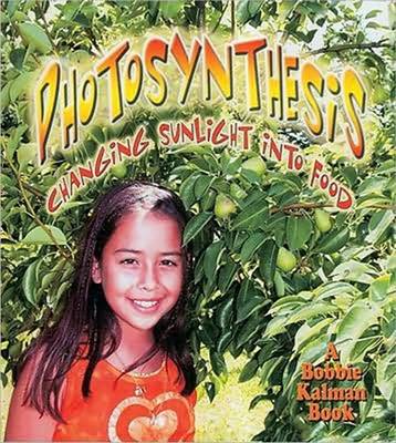Photosynthesis