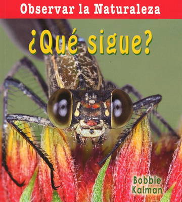 Que Sigue?
