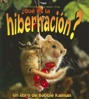 Que es la Hibernacion?