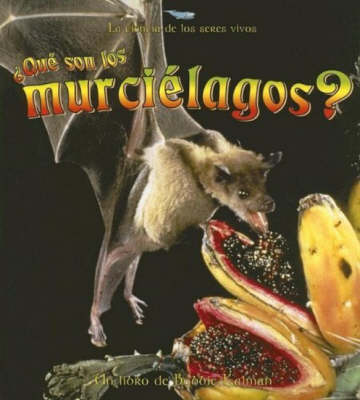 Que son los Murcielagos?