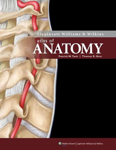Lippincott Williams & Wilkins Atlas of Anatomy