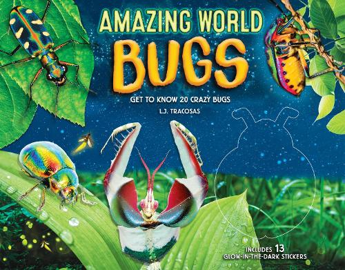 Amazing World: Bugs Volume 1