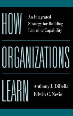 How Organizations Learn