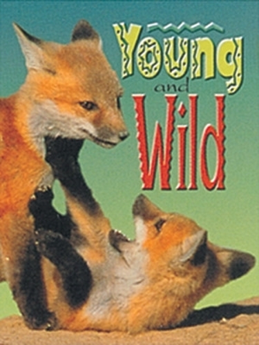 Young and Wild