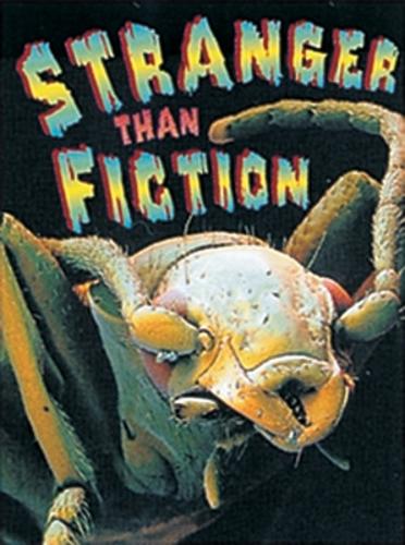 Stranger Than Fiction