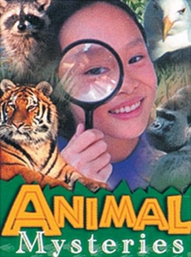 Animal Mysteries