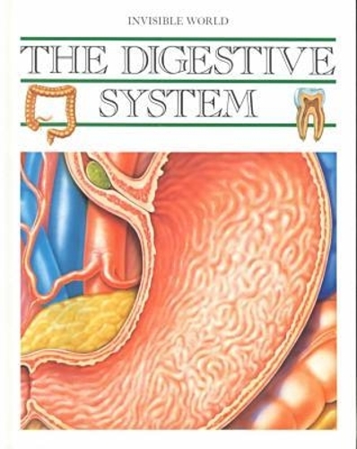 The Digestive System