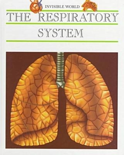The Respiratory System