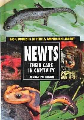 Newts