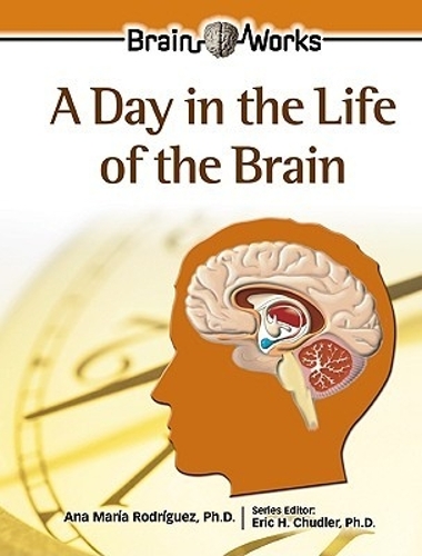 A Day in the Life of the Brain