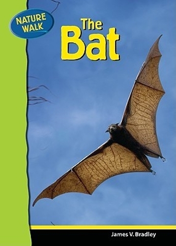 The Bat