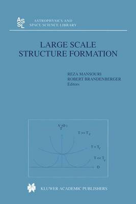 Large Scale Structure Formation