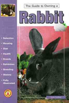 Guide to Owning a Rabbit