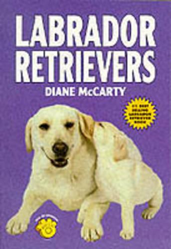 Labrador Retrievers