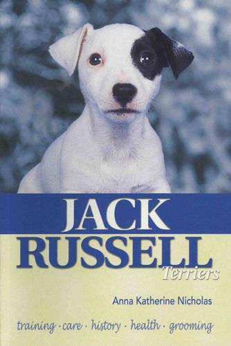 Jack Russell Terriers
