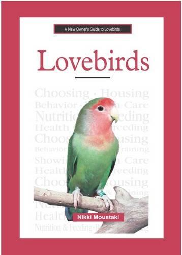 A New Owner's Guide to Lovebirds