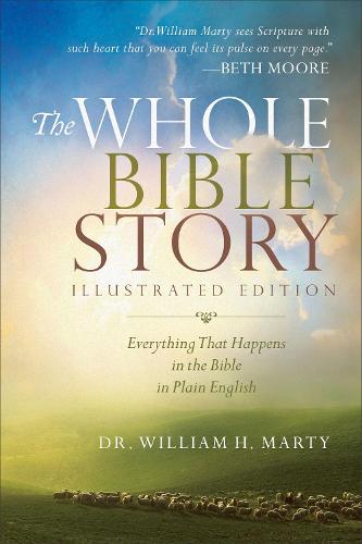 The Whole Bible Story – Everything That Happens in the Bible in Plain English