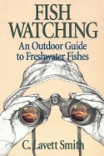 Fish Watching