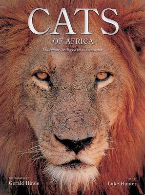Cats of Africa