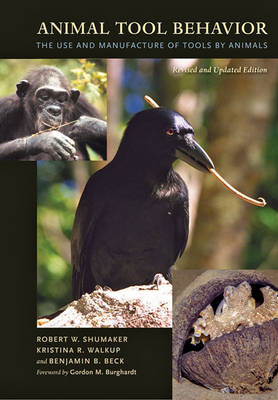 Animal Tool Behavior