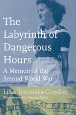 The Labyrinth of Dangerous Hours