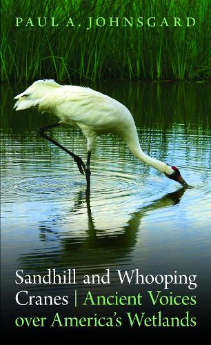 Sandhill and Whooping Cranes