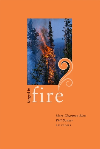 Forged in Fire